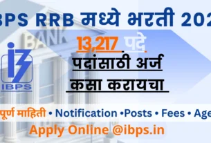 IBPS RRB Bharti 2025